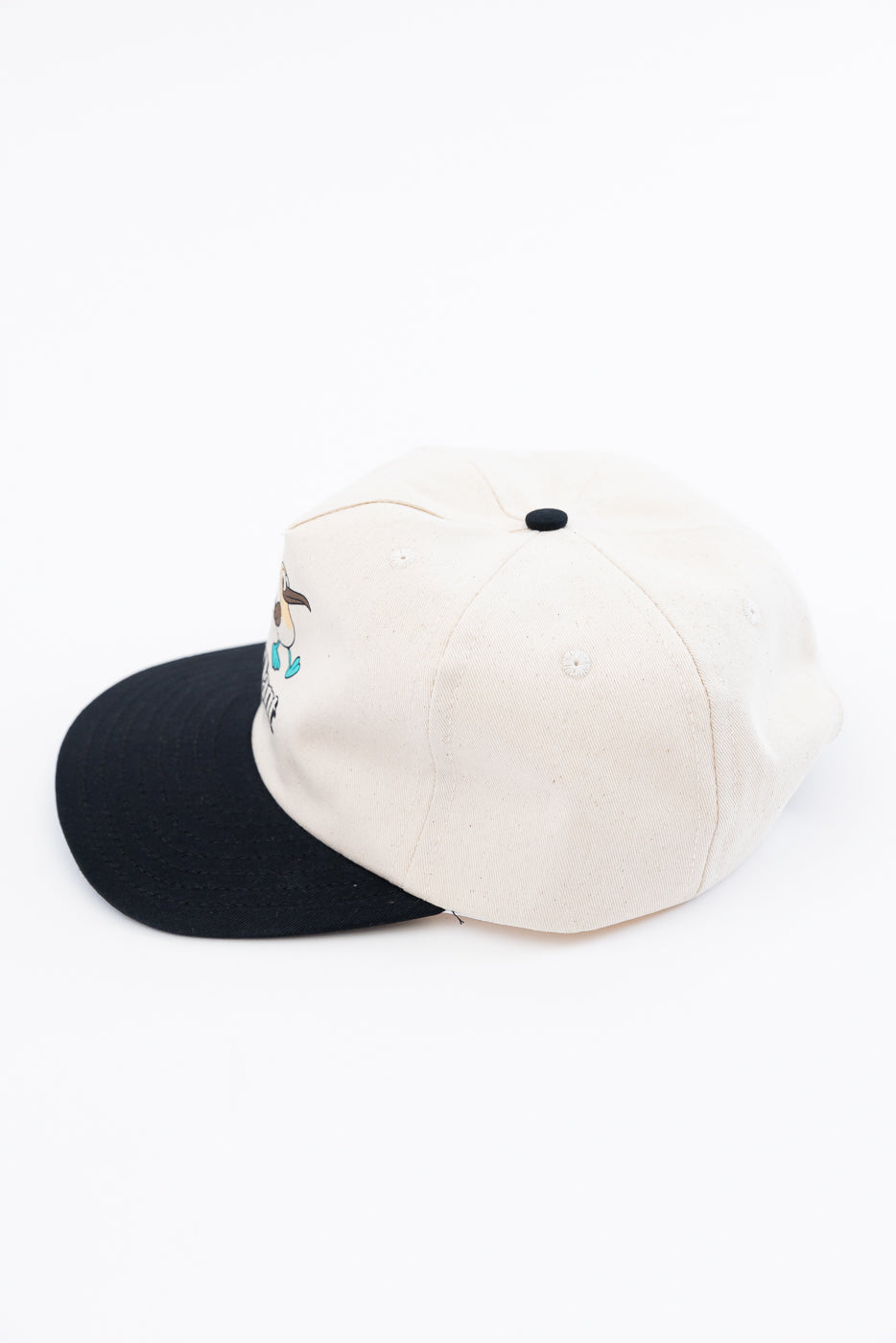 Dant "Blue Footed Booby" Cap - Ecru x Black - Image 4